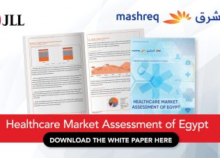 Healthcare market assessment of Egypt